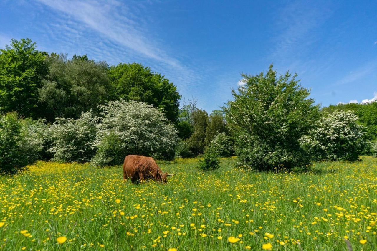 ホテル Europarcs Het Amsterdamse Bos アムステルフェーン エクステリア 写真